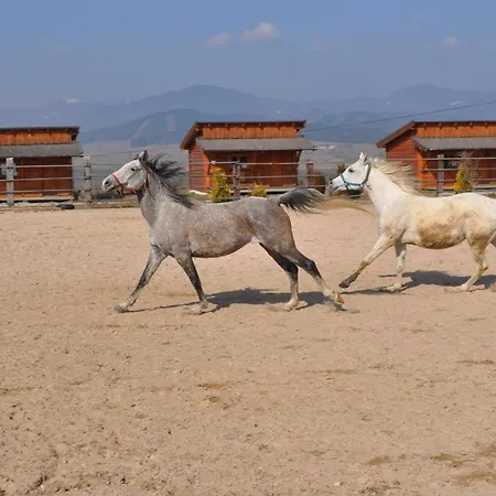 Ranch Amadeus *